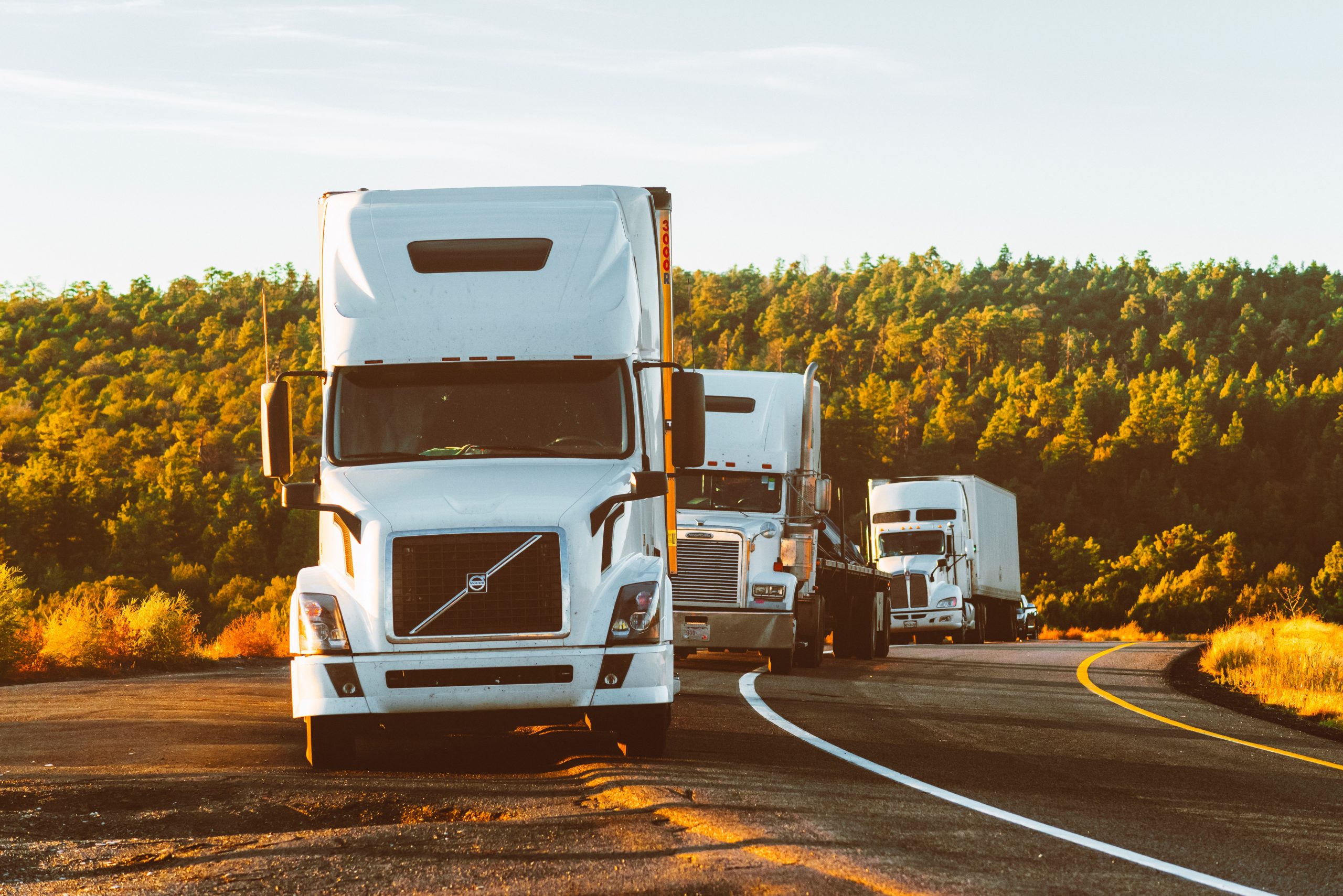 transport trucking statistics